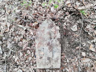 画像に含まれている可能性があるもの:木、屋外